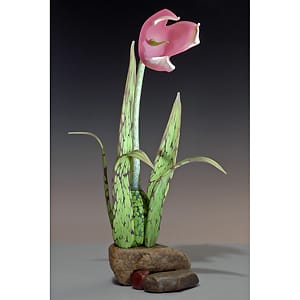 Glass-Prohaska-Nolan