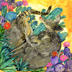 Drawing & Pastels_Bozarth_Alison_2_4 x 6 1920 armadillo version