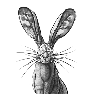 Drawing & Pastels_Skiold-Hanlin_Sarah_1_Joshua Jackrabbit_zapplication copy