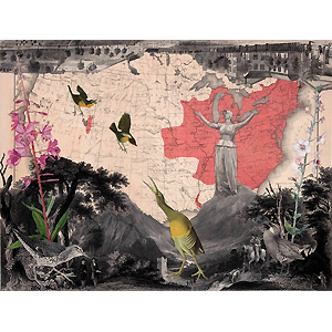 Mixed Media_Burchard-Ballard_Peggy_1_Flight of the Sparrow2024