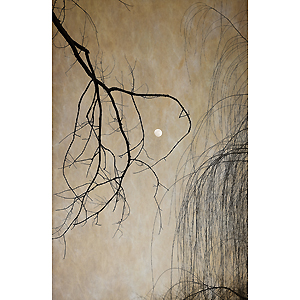 Photography_Gilmore_Rob_1_Heron Moon